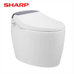 夏普（SHARP）智能马桶 虹吸式多功能全自动冲水 即热一体式电动坐便器 VZ-AGK65G-W 白