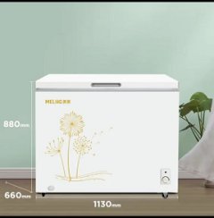 美菱（MELING）家用小型冷柜冰柜冰箱BC/BD-300DT