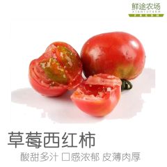 山东海阳  草莓西红柿 5斤装(净重4.5斤)